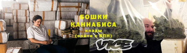 соль ск Кулебаки