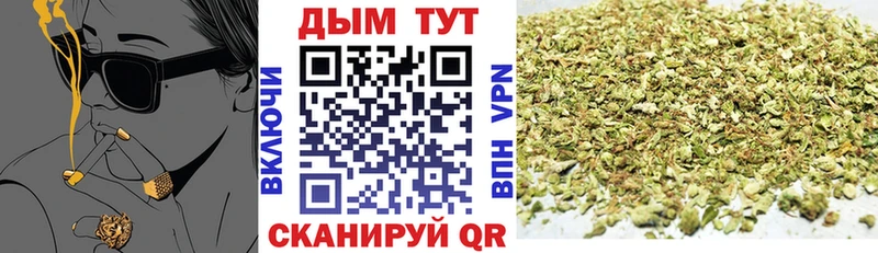 Купить закладки  Кириллов  Бошки марихуана тримм 